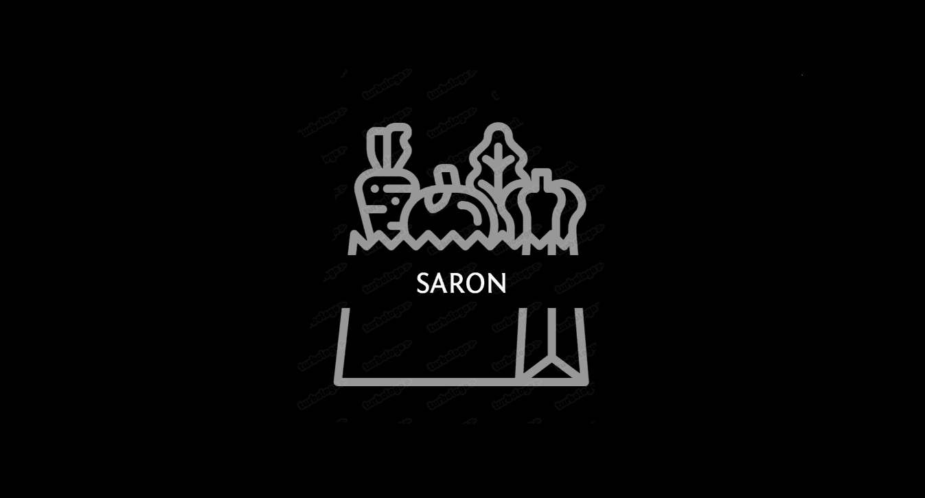 Client - Saron S.R.L.