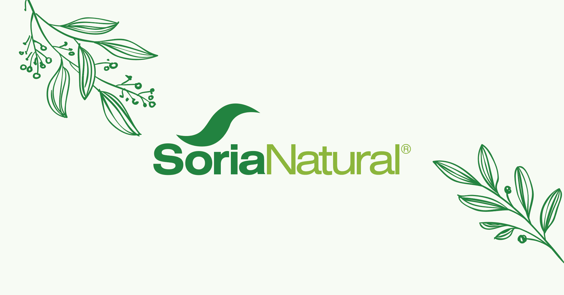 Client - Soria SRL