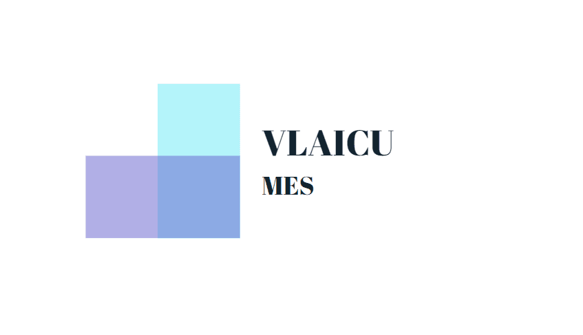 Client - Vlaicu Mes